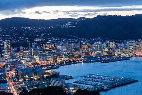 #Wellington City at dusk from Mount Victoria Wellington City, New Zealand Travel Guide, Visit New Zealand, New Plymouth, Wellington New Zealand, Food Home, Unique Experiences, New Zealand Travel, World Cities