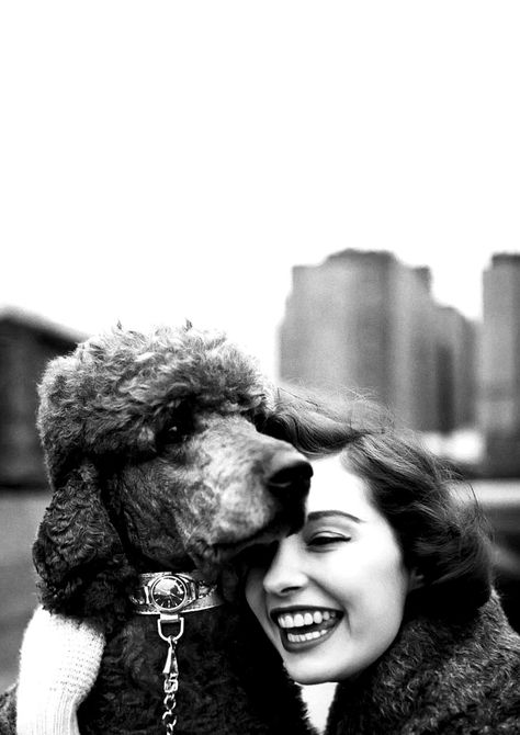 By Yael Joel, 1953. Gold Dog Collar, Poodle Cuts, Puppy Cut, Vintage Poodle, Female Profile, Swiss Watch, Miniature Poodle, American Kennel Club, Dog Obedience