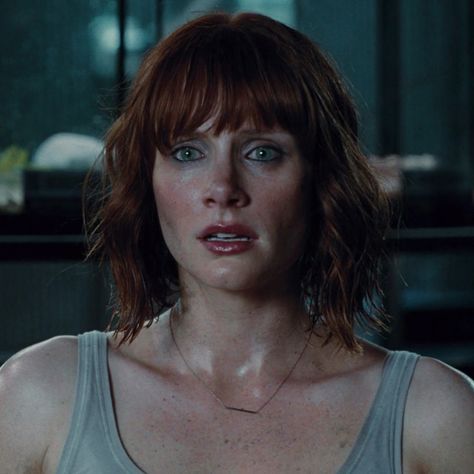 Claire Jurassic World, Bryce Dallas Howard Jurassic World, Jurassic World Claire, Brice Dallas Howard, Claire Dearing, Halloween Friday The 13th, Fictional Character Crush, Jurassic Park Movie, World Icon