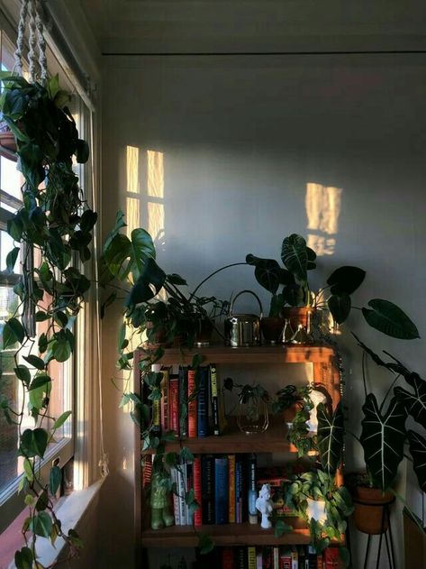 #books #library #plants Books Library, Dreamy Room, Room With Plants, Book Nook, Dream Room Inspiration, Dream Apartment, Room Makeover Inspiration, Cozy Room, Dream Rooms