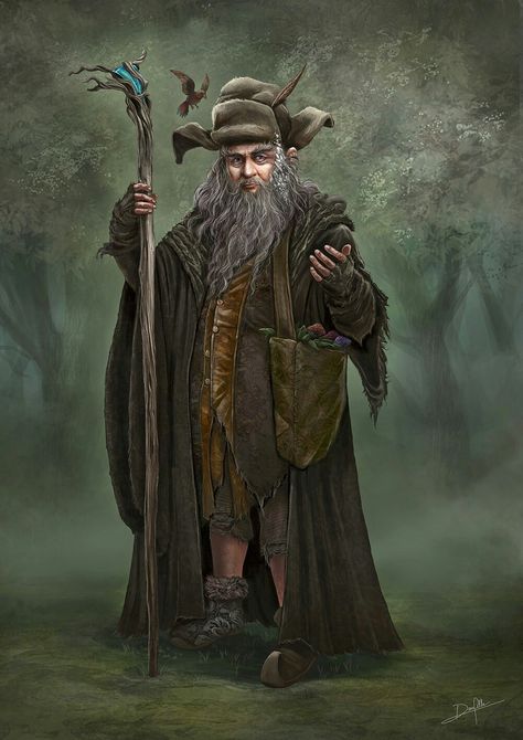 Radagast the Brown Art Portrait Radagast The Brown, John Howe, Gandalf The Grey, Middle Earth Art, Hobbit Art, Fantasy Wizard, The Hobbit Movies, Tolkien Art, Lotr Art