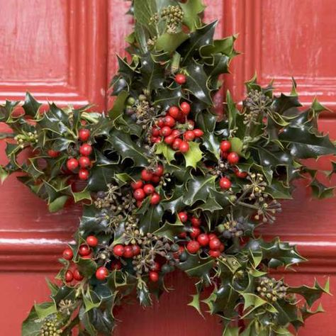 How to make a Christmas star decoration Star Wreath Form, Christmas Wreath Ideas, Star Wreath, Classic Wreath, Christmas Star Decorations, Holly Wreath, Xmas Wreaths, Wreath Forms, Star Decorations