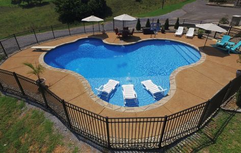 Laguna Freeform Vinyl Inground Pool with Vinyl Radius Step, Bench, Tanning Ledge, Bubbler, Umbrella Holder, Basketball Goal, Faux Stone Coping, Pea Gravel Patio Free Form Pools With Tanning Ledge, Freeform Pool Designs With Tanning Ledge, Lap Pool With Tanning Ledge, Freeform Pools With Tanning Ledge And Spa, Vinyl Inground Pool With Tanning Ledge, Kidney Shaped Pool With Tanning Ledge, Vinyl Pools Inground, Diving Pool, Inground Pool Landscaping