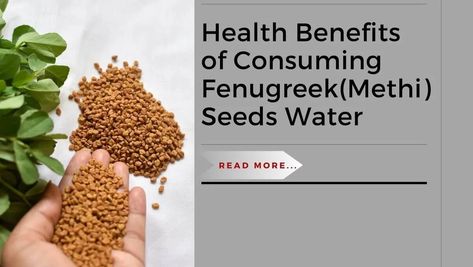 Discover the health benefits of consuming fenugreek water (methi water) for blood sugar, digestion, cholesterol, and more. Learn how to make it easily at home! Fenugreek Water, Fenugreek Benefits, Methi Seeds, Strengthen Hair Roots, Water Benefits, Kidney Health, Fenugreek Seeds, Wellness Routine, Health Conditions