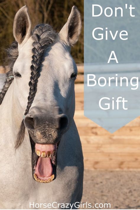 A horse is yawning and the words on the pin read Don't Give A Boring Gift Horse Gift Basket Ideas, Horse Lovers, Horse Gifts For Women, Gifts For Equestrians, Horse Lover Gifts, Horse Decorations, Horse Gift Ideas, Horseback Rider, Equestrian Gifts