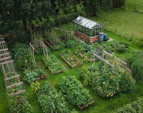 Thriving Garden, Veg Garden, Have Inspiration, Hus Inspiration, Vegetable Garden Design, Food Garden, Garden Layout, Veggie Garden, Farm Gardens