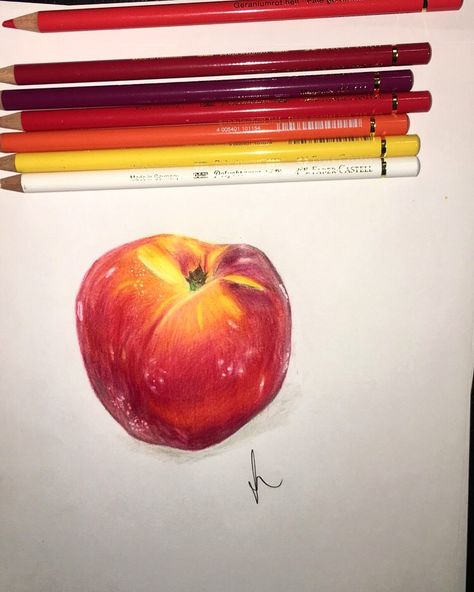 Faber Castell Polychromos Drawing, Coloured Drawing Ideas, Pencils Art, Drawing Study, Faber Castell Polychromos, Color Wheels, Art Painting Diy, Art And Writing, First Drawing