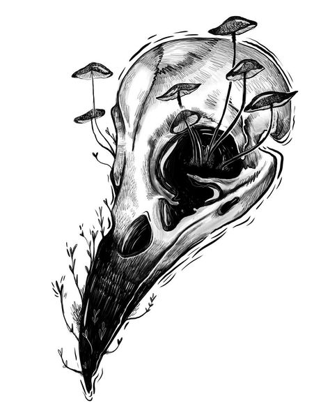 Stephanie Bayles on Instagram: “Crow for #omensdrawingchallenge . . . #crow #blackandwhite #drawing #illustration #skull #blackworknow #art #macabre #dark #darkart…” Stephanie Bayles, Crows Drawing, Art Macabre, Skull Sketch, Crow Skull, Skulls Drawing, Dark Art Drawings, Goth Art, Skull Drawing