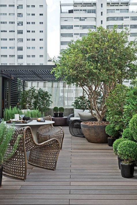 algunas-ideas-para-un-jardin-de-altura-11 Rooftop Decor, Rooftop Bars Nyc, Rooftop Terrace Design, Rooftop Design, Garden Privacy, Rooftop Lounge, Rooftop Patio, Patio Interior, Terrace Design