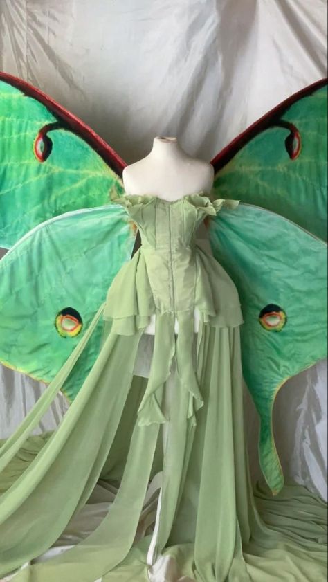 Luna Moth Inspired Outfit, Luna Moth Outfit, Renfaire Outfits, Moth Outfit, Fairy Wings White, Luna Moth Fairy, Moth Costume, Moth Fairy, Fairy Costume Women