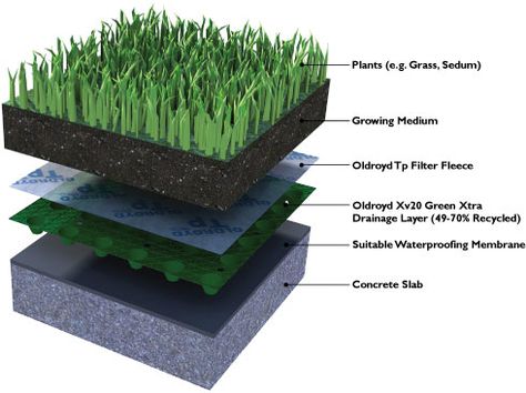 green roof detail - One Roof, Two Roofs, Green Roofs, Blue Roogs Green Roof Planting, Corrugated Plastic Roofing, Roof Plants, Green Roof Design, Root Barrier, Green Roof Building, Green Roof System, Grass Roof, Membrane Roof