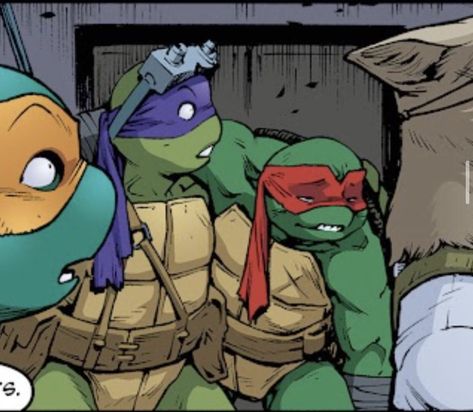 Tmnt Donnie And Raph, Idw Tmnt Donnie, Tmnt Idw Donatello, Donatello And Raphael, Tmnt Reference, Idw Tmnt, Tmnt Drawings, Tmnt Idw, Raph Tmnt