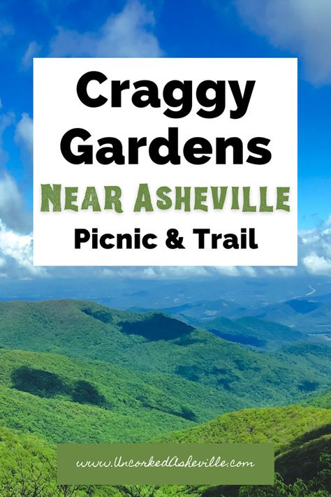 Craggy Gardens North Carolina, Asheville Hiking, Asheville Hikes, Ashville North Carolina, North Carolina Attractions, Craggy Gardens, Grandfather Mountain, North Carolina Travel, Family Friendly Activities