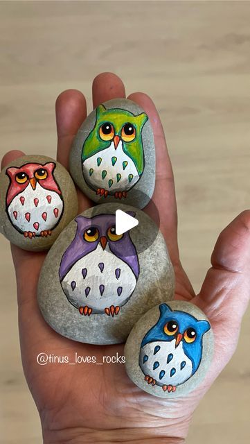 Ladybug Rocks, Painted Rock Animals, Stone Art Painting, Therapeutic Art, Happy Stones, Rock Artists, Painting Rocks, Hand Painted Stones, Owl Painting