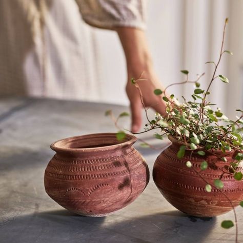 Mala Terracotta Pot Indoor Ferns, Window Ledge, Terracotta Plant Pots, Garden Pottery, Potting Bench, Terracotta Pot, Honey Pot, Comfort And Joy, Nature Garden