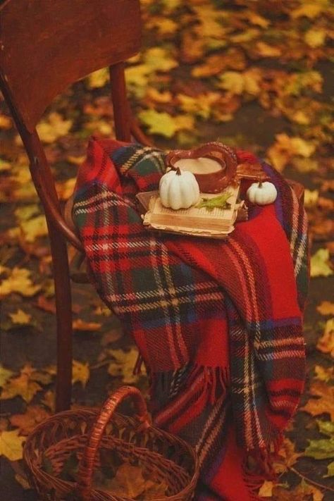 Everything Vintage And Shabby | Tartan and Pumpkins go together with Fall...and brings warmth to a home | Facebook Red Autumn Aesthetic, Cozy Autumn Aesthetic Wallpaper, Autumn Aesthetic Wallpaper, Cozy Autumn Aesthetic, October Days, Winter Cottagecore, Autumn Cottage, Sweet November, Red Autumn