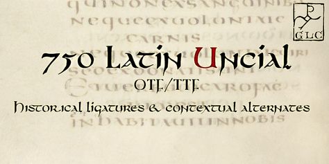 Latin Font, Latin Script, Punctuation, Look At, Typography, Writing