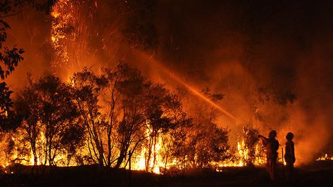 South Sumatra, Jonathan Safran Foer, Fire Fans, Climate Crisis, Amazon Rainforest, Carbon Dioxide, Forest Fire, Southeast Asia, Natural World