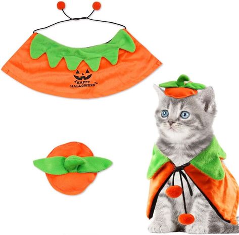 Halloween Cat Costume, Sew Halloween Costume, Cat Projects, Demon Costume, Kitty Makeup, Costume Clothes, Halloween Outside, Best Friend Halloween Costumes, Halloween Merchandise