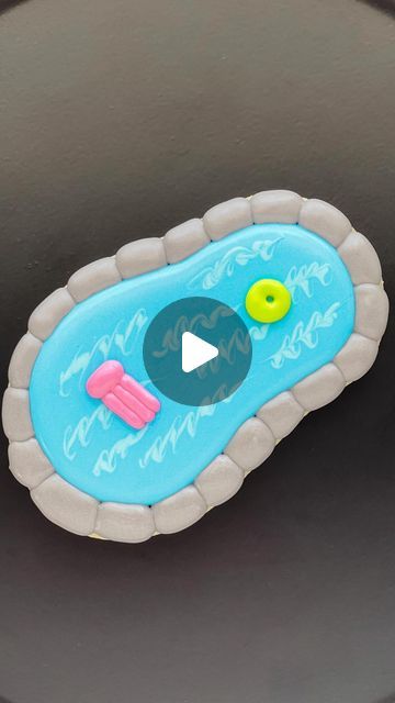 Brandi Garcia on Instagram: "It’s Flippin’ Friday! It’s the day of the week when I share a cookie cutter “flip” by decorating a cookie as something other than the cutter was intended.  This week is all about the summer vibes! I used an @annclarkcookiecutters flip flop to make a swimming pool. This cookie definitely has me longing for my next pool day! 🥵 Be sure to wear your SPF and keep hydrated and cool, my friends! 😎   #cookies #flipthatcutter #cookiedecorating #sanantoniocookier #flippinfriday" Summer Decorated Cookies, Friends Cookies, Cookies Summer, Flip Flop Cookie, Summer Cookie, Keep Hydrated, Summer Cookies, Pool Day, Cookies Decorated