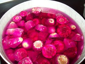 Pecan Corner: How To Make Prickly Pear Cactus Jelly Part 2 Cactus Jelly, Prickly Pear Jelly, Prickly Pear Recipes, Pear Jam, Homemade Jelly, Pear Cactus, Pear Recipes, Prickly Pear Cactus, Jam And Jelly