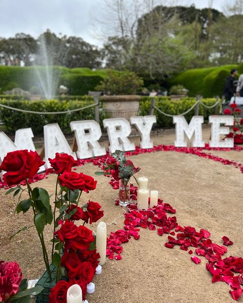 Dreaming of a magical proposal? Say “yes” to a breathtaking moment at @ashcombemaze on the Mornington Peninsula! Whether it’s in the heart of the maze or amidst the lavender fields, we’ll help you create a proposal that’s perfect for you 💫 Book now and enjoy special rates until February 2025! 💫 More Information can be found in our Blog section 🤍 Magical Proposal, Mornington Peninsula, The Empress, Lavender Fields, Say Yes, In The Heart, Lavender, In This Moment, Quick Saves