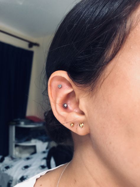 Scapha Piercing, Conch Piercing Stud, Ear Stacks, Jewelry Tattoo, Piercing Ideas, Golden Heart, Ear Stack, Conch Piercing, Jewelry Inspo