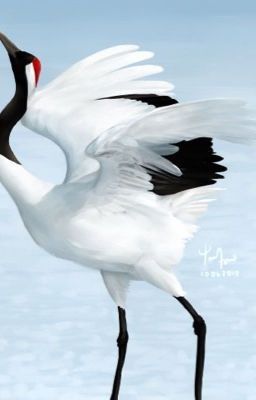 Hana is Po's older sister. They're not related of course. Po is a pan… #fanfic # Fanfic # amreading # books # wattpad Heron Art, Instead Of Flowers, White Crane, Dragon Warrior, Red Crown, Crane Bird, Older Sister, Kung Fu Panda, Photoshop Art