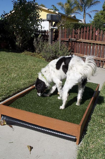 DIY fake grass doggy potty pad. Gonna make one of these for the patio so I don't have to run Puppy outside and down flights of stairs in the middle of the night! Dog Potty Patch, Diy Dog Run, Porch Potty, Dog Potty Area, Indoor Dog Potty, Apartment Dogs, Goofy Dog, Dog Potty, Fake Grass