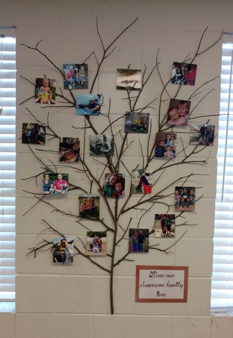 Family Picture Wall Ideas Preschool, Kindergarten Family Picture Wall, Family Tree Art For Kids Classroom, Toddler Family Tree Project, Daycare Family Photo Wall, Friends And Family Board Classroom, Class Picture Ideas Group Preschool, Family Wall Pictures Ideas Classroom, Daycare Family Picture Board