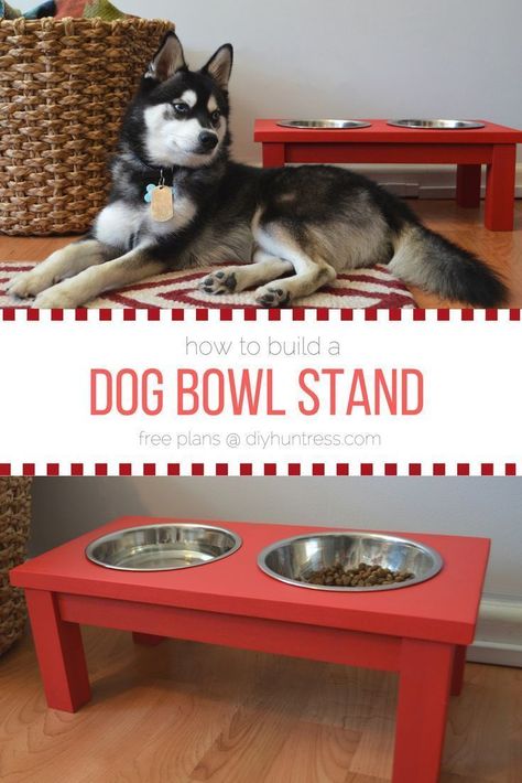 Dog Bowls Diy, Diy Dog Bowl Stand, Camper Upgrades, Diy Dog Bowl, Guard Dog Training, Chat Diy, Dogs Diy Projects, Diy Dog Food, Raised Dog Bowls