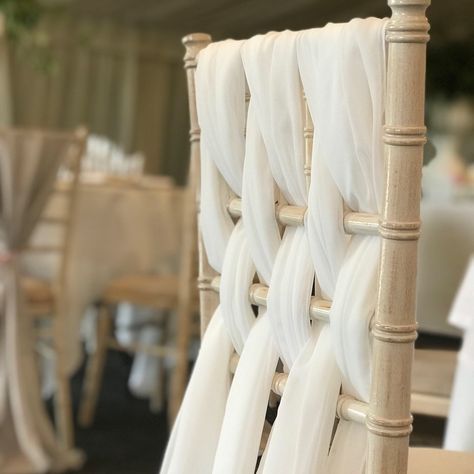 Chair Drapes, Chivari Chair Draping, Chivari Chairs With Sash, Chiavari Chair Sash Ideas, White Chair Sash Wedding, Chivari Chairs Wedding, Sashes On Chiavari Chairs, Brown Chiavari Chairs Wedding, Chiavari Chairs Decor