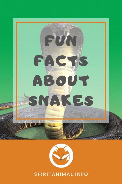 Snake Unit Study, What Do Snakes Symbolize, Snake Spirit Animal Meaning, Spirit Animal Snake, Snake Facts For Kids, Snakes For Kids, Facts About Snakes, Animals In The Bible, Snake Spirit Animal