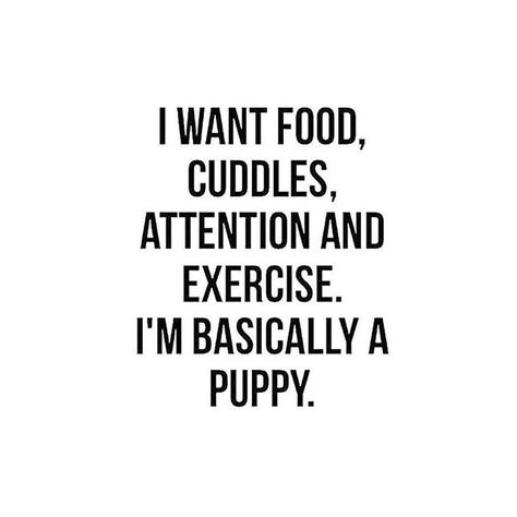 Need Cuddles, I Need Cuddles, Cuddle Quotes, Kelly Leveque, Lifting Quotes, Greatest Quotes, Imagination Quotes, Today's Quote, Running Quotes