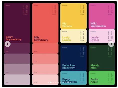 Australian Colour Palette, Chart Color Palettes, Color Palette Layout, Australian Colours, Flat Color Palette, Ui Color, Brand Palette, Color Design Inspiration, Brand Presentation