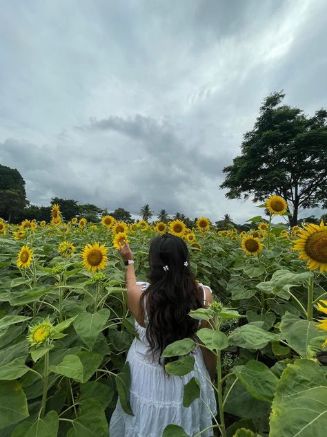 Sunflower Girl Aesthetic, Sunflower Aesthetic, Sunflower Girl, Sunflower Photo, Soul Ties, Sunflower Pictures, Sunflower Garden, Travel Diaries, Insta Inspo