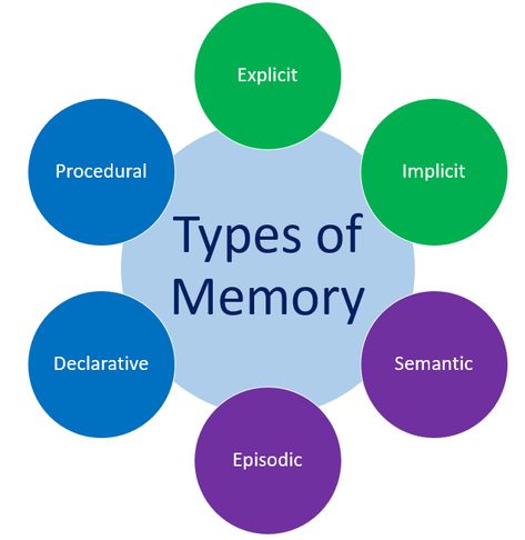 Different Types Of Memory, Teaching Aptitude, Psychology A Level, Teaching Psychology, Episodic Memory, Ap Psych, Philosophy Theories, Mental Therapy, Types Of Memory