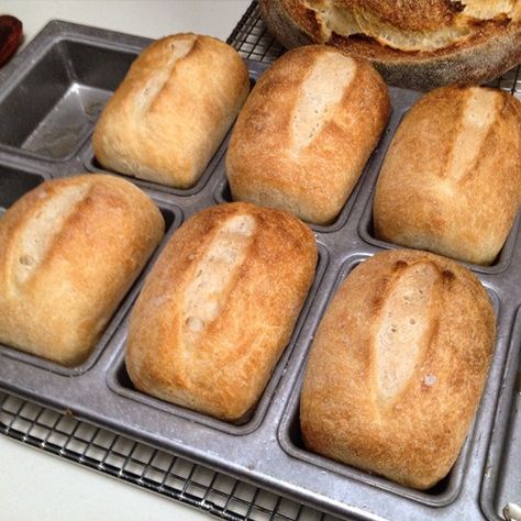 Recipes For Mini Loaf Pans, Mini Loaf Pans Ideas, Mini Loaves Of Bread For Gifts, Savory Mini Loaf Pan Recipes, Sourdough Mini Loaves, Mini Loaf Pan Bread Recipes, Mini Breads, Mini Loafs, Current Recipes