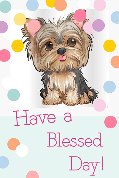 Funny Good Morning Wishes, Good Morning Animals, Christian Scriptures, Dog Quote, Yorkie Moms, Yorkie Lovers, Teddy Dog, Dog Heaven, Good Morning Flowers Gif