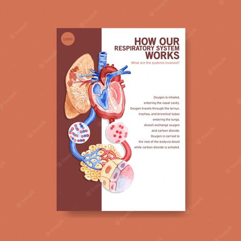 Human Body Organ System, Learning Website Design, Human Respiratory System, Human Body Organs, The Respiratory System, Brain Logo, Medical Posters, Poster Presentation Template, Human Body Anatomy