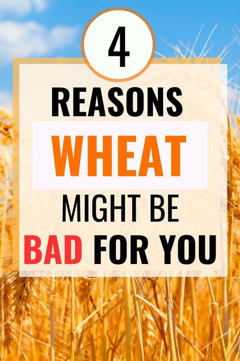 Is Wheat Healthy or Is Wheat Bad for You? Many think that whole wheat is a health food, while others think that wheat (particularly wheat gluten) is bad for just about everyone. We'll talk about wheat's healthy benefits and concerns about wheat while trying to sort all of this out. is gluten bad for you | why is gluten bad for you | is wheat bread bad for you | is wheat bread healthy | is gluten free healthier | is gluten free good for diabetics | zonulin leaky gut Healthy Recipes Gluten Free, Good For Diabetics, Bulgar Wheat, Standard American Diet, Bread Healthy, American Diet, Vegan Clean, Wheat Germ, Healthy Gluten Free Recipes