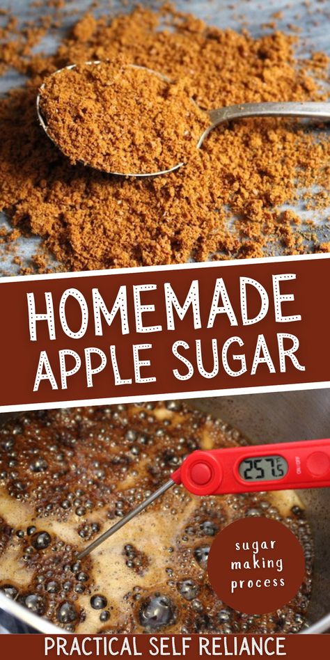 Homemade Apple Sugar - The sugar making process is a tricky thing. Learn all about my experience extracting sugar from apples and making apple sugar at home. Homegrown Apple Recipes, What To Do With Apple Scraps, Dehydrated Apple Recipes, Finishing Sugar Recipes, Finishing Sugar, Homegrown Recipes, Preserve Apples, Seasonal Recipes Fall, Canning Apples