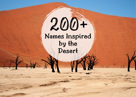 If you're looking for a first name that has something to do with the deserts of our planet, then this is the place for you. Desert Names Ideas, Desert Names, Desert Words, Mommas Boy, Sheep Names, Norse Names, Character Descriptions, Boy Name Meanings, Desert Places