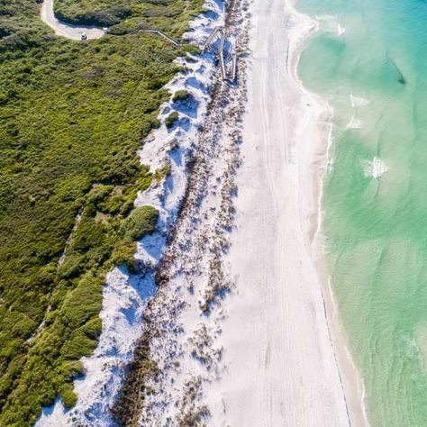 Blue Mountain Beach | SoWal.com Grayton Beach State Park, Cypress Swamp, Lupine Flowers, Seagrove Beach, Miramar Beach, Quiet Beach, Romantic Escapes, Santa Rosa Beach, Beach Activities