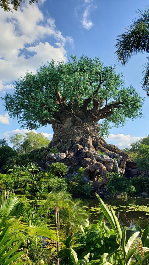 Tree Of Life Disney Animal Kingdom, Animal Kingdom Tree Of Life Drawing, Walt Disney World Animal Kingdom, Disney Animal Kingdom Aesthetic, Disney’s Animal Kingdom, Disney Park Wallpaper, Animal Kingdom Tattoo, Disney Tree Of Life, Animal Kingdom Aesthetic