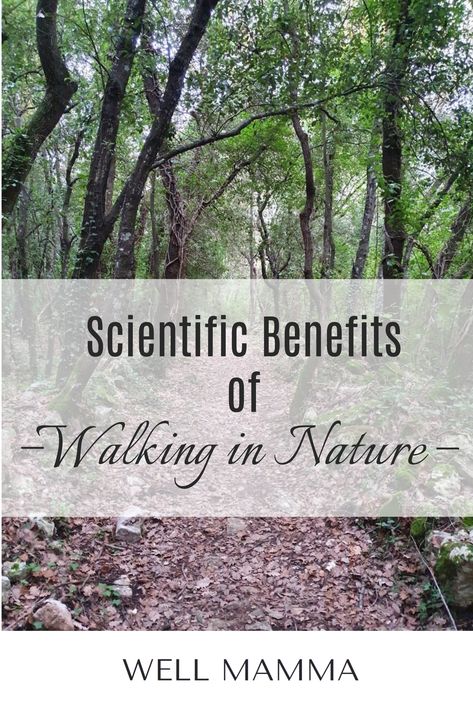 A huge amount of scientific research proves that walking and just spending time in nature has great physical and emotional health benefits. In some countries, it is even recognized as a form of therapy. Tracy Anderson Method, Spending Time In Nature, Benefits Of Walking, Tracy Anderson, Time In Nature, Nature Walk, Scientific Research, Walking In Nature, Emotional Health