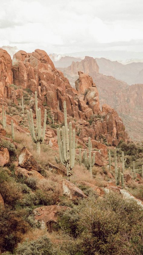 Desert Cactus Wallpaper, Wallapers Aesthetics Western, Southwestern Wallpaper Iphone, Desert Phone Wallpaper, Boho Country Wallpaper Iphone, Western Lock Screen Wallpaper Aesthetic, Western Cactus Wallpaper, Wallpaper Backgrounds Cactus, Cactus Lockscreen