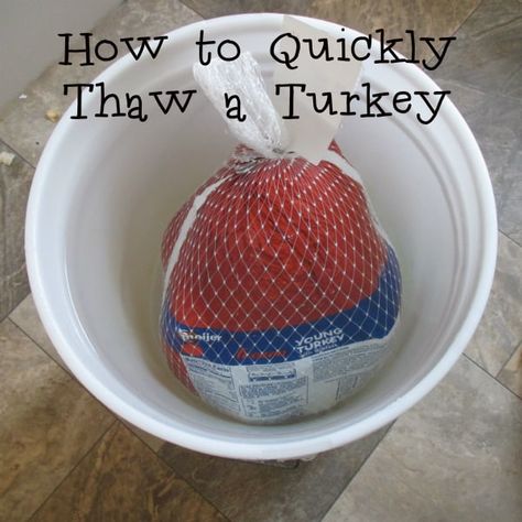 How to Quickly Thaw a Turkey - Eat Like No One Else Turkey Thaw Time, Thaw Turkey In Water, Defrosting Turkey, Cooking A Frozen Turkey, Quick Turkey, Thawing Turkey, Frozen Turkey, Thanksgiving Dinner Recipes, Whole Turkey