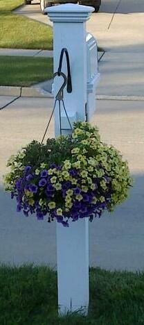 Been looking for a simple way to add flowers to the mailbox. Flowers hanging on a mail box adorable... Mailbox With Hanging Basket, Mailbox Hanging Basket, Mailbox Curb Appeal, Mailbox Gardens, Diy Box Spring, Mailbox Landscape, Recycle Garden, Mailbox Diy, Mailbox Flowers