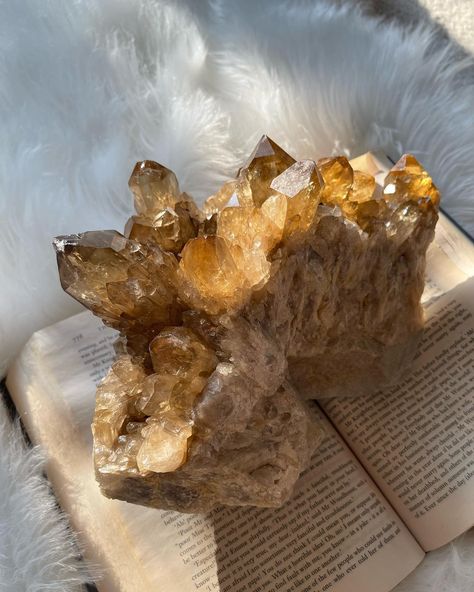 All crystals – Page 10 – Astro Stassia Citrine Cluster, All Crystals, Rock Textures, Crystal Aesthetic, Capricorn And Aquarius, Pink Bubbles, Taurus And Gemini, Heat Treating, Citrine Crystal